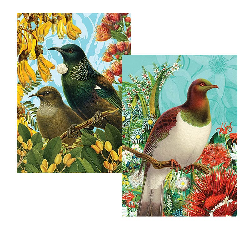 Notecards: Reuben Price