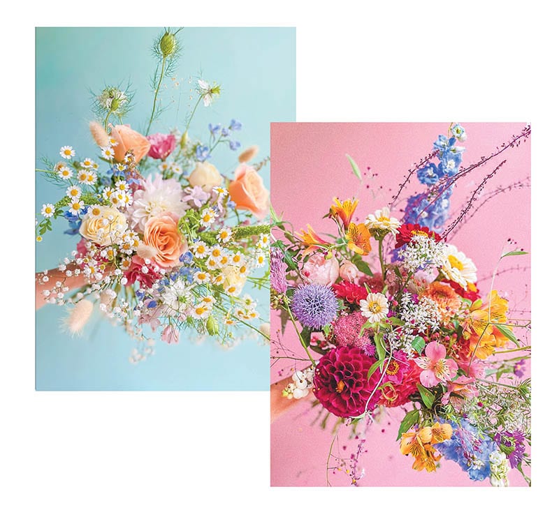 Notecards: Bonnie Dowie