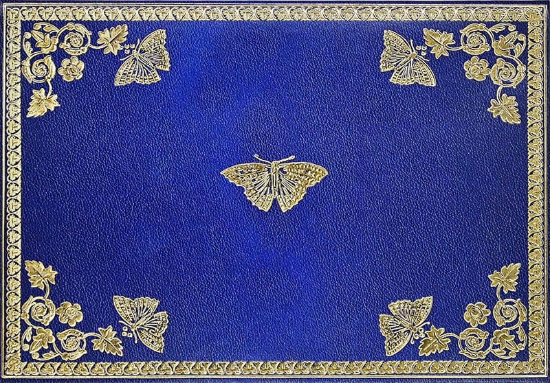 Notecards: Gilded Butterflies